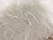 wool funky fur