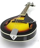 A Style Acoustic Mandolin w/ Shaped Hard Case