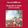 Dragonfly in Amber