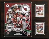 NFL Arizona Cardinals 2011 Team Plaque