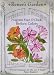 Fragrant Four O'clocks Broken Colors Seeds