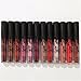 Linkings Women Beauty Waterproof Matte Liquid Lipstick&Lip Liner Lip Gloss Kit Set