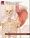 Illustrated Atlas of Human Anatomy: A Collection of 25 Anatomical Charts of the Human Body