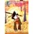 Final Fantasy Unlimited - Complete Collection [2001] [DVD]