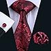 Hi-Tie New Fashion Woven Silk Paisley Tie Set for Men