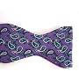 100% Silk Marlon Garci Purple, Green and Teal Paisley Self-tie Bow Tie