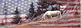 HORSE AND FLAG#2 REAR WINDOW MURAL,DECAL,TINT