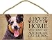 A house is not a home without Australian Cattle Dog - 5