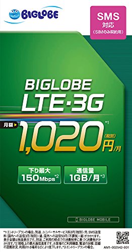 ビッグローブ BIGLOBE LTE・3G SMS機能つきSIMカード(Wi-Fiつき) SMS-KIT-W