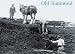 Old Tomintoul: Strathaven, Glenlivet and the Lecht: Strathhaven, Glenlivet and the Lecht