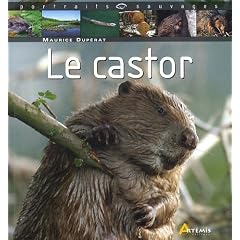Le castor