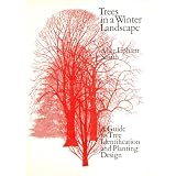 Trees in a Winter Landscape