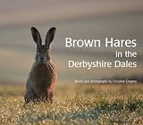 Brown Hares in the Derbyshire Dales
