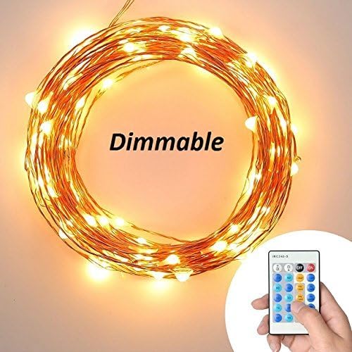 Rope String Lights ，Soft Copper Wire Remote Control 33Ft 100 LED Lights String DC12V Powered LED Light for Holiday Outdoor Party Inside House Decoration Christmas Party Wedding (Warm White, 10M)