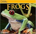 Frogs National Geographic 2008 Wall Calendar