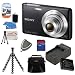 Sony Cyber-Shot DSC-W620 (Black) w/ 4GB SDHC Accessory Package Including a Flexible Gripster, Replacement BN1 Battery, Home & Car Travel Charger and Carrying Case and Much Much More....