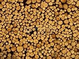 IMAGE OF Wallmonkeys Peel and Stick Wall Decals - Baumstapel 5 - 48