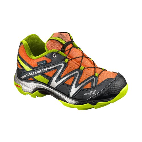 SALOMON 