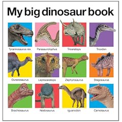 My Big Dinosaur Book