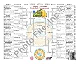 2008 Final 4 Women's Bracket photo - Tennessee Lady Volunteers Champs 10 x 8 Licensed Photo - Poster -- Framing Options Available