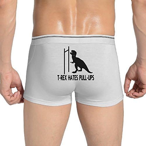 T - Rex Hates Pull Ups Dinosaur Park Men Boxer Brief