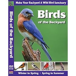 Birds of the Backyard: Make Your Backyard A Wild Bird Sanctuary; chickadees, robins, nuthatches, purple finches, cardinals, mourning doves, woodpeckers, cardinals, bluebirds, goldfinches, warblers, tangers and hummingbirds and more!