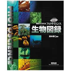���o�łƂ炦��t�H�g�T�C�G���X�����}�^