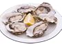 Seafoodxpress-Pint of Shucked Oysters