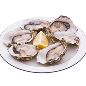 Seafoodxpress-Pint of Shucked Oysters by