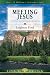 Meeting Jesus (Lifeguide Bible Studies)