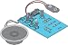 Electronic Cricket (kit requires soldering assembly)