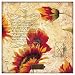 to Brighten Your Day by Joadoor Fine Art Print / Poster 7.00 x 7.00 in.