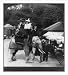 Historic Print (L): A good-natured elephant - free rides for the children - Zoologica...