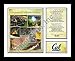 University of California Berkley Cal Golden Bears NCAA Framed Photograph Milestone Collage