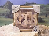 Wildlife Coaster Set In Wood Tray