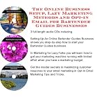 The Online Business Setup, Lazy Marketing Methods, Opt-in Email for Bartender Guides... by J Bowman J Orr