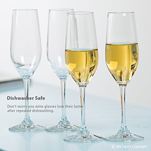MICHLEY Unbreakable Champagne Flutes Glasses, 100 Tritan Shatterproof Wine Glasses, BPAfree