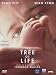 The Tree Of Life