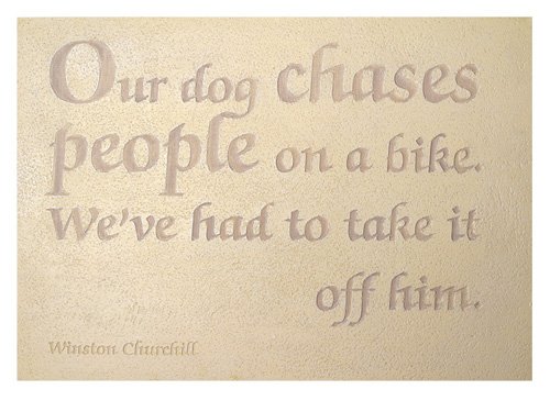 Childrens Toyshop  Outdoor Living : Ornamental Garden Wall Plaque: Words of Wisdom: Our Dog ...  (Small)