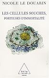 Les cellules souches, porteuses d'immortalit�