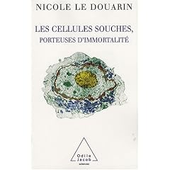 Les cellules souches, porteuses d'immortalit�