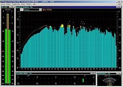 Pinguin Audio Meter PG-AM 4.5