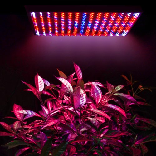 Yescom Indoor 225 LED Grow Light Panel Hydroponics Plant Growing Square Lamp Blue Red Orange White