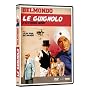 Le guignolo