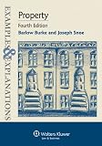 Examples & Explanations: Property, 4th Ed.