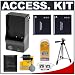 Deluxe Accessory Kit with + Two (2) Spare DMW-BCE10 Li-ion Batteries & Charger + Tripod + Cameta Bonus Kit for Panasonic Lumix DMC-FX18, FX30, FX33 & FX55 Digital Cameras