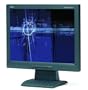 Nec ASLCD52V-BK 15-Inch 1024X768 LCD Monitor (Black)