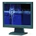 Nec ASLCD52V-BK 15-Inch 1024X768 LCD Monitor (Black)