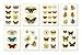 Cavallini Decorative Stickers Butterflies, Assorted