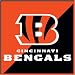 Turner NFL Cincinnati Bengals Note Cube (8080007)